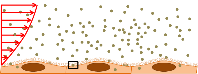 Nanoparticle internalization into endothelial cells